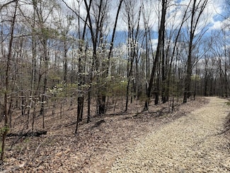 Tr 3 Lot F Tbd, Rogersville, MO 65742