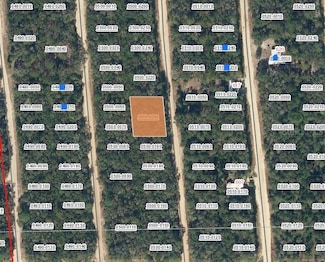 00 Neilsen Ave, Interlachen, FL 32148