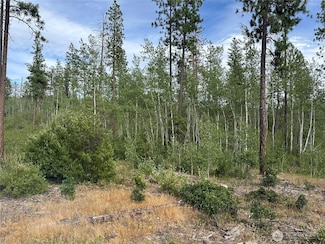 5 Grayback Rd, Goldendale, WA 98620