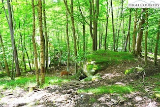 153 Hornbeam Rd, Beech Mountain, NC 28604
