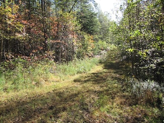 Lot 12 Melmark Acres Trail, Stuart, VA 24171