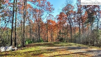 Lot 3 Hidden Forest Trail, Todd, NC 28684