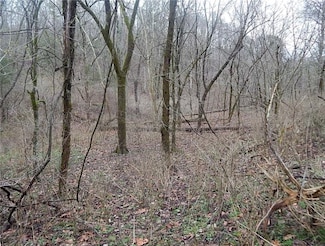 TBD Cr 317, Eureka Springs, AR 72632