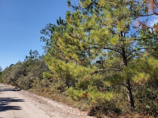 0 Wire Rd Unit 19597098, Lee, FL 32539