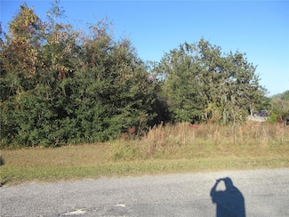 TBD SE 17th St, Ocklawaha, FL 32179