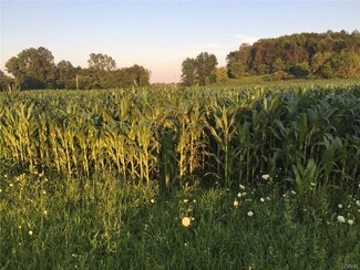 Lot 1 Hamilton Rd, Elbridge, NY 13060