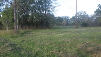 Fm Cr 319 County Road 319, Brazoria, TX 77422