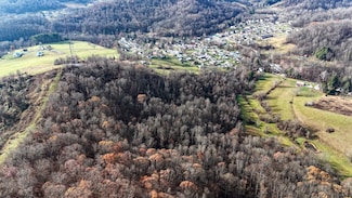 0 Washington St Unit Lot WP001 22097544, Fairview, WV 26570