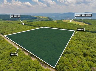 0 Georgia 157 Unit 7606333, Menlo, GA 30731