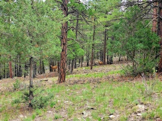 0253 Aspen Cir, South Fork, CO 81154
