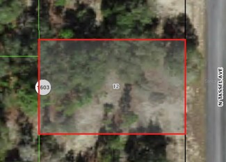 6706 N Tassel Terrace, Pine Ridge, FL 34433