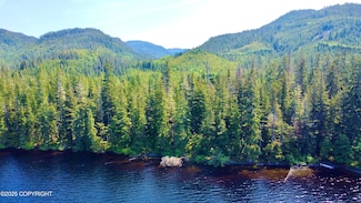 L48 Klawock Lake Rd, Klawock, AK 99925