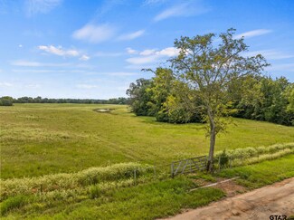 TBD County Road 4510, Mount Pleasant, TX 75455