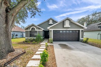 24704 Silversmith Dr, Lutz, FL 33559