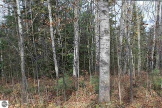 0 Kahn Drive Lot 3, Mikado, MI 48745