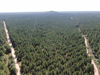 77 AC State Highway 13 Acres, Nekoosa, WI 54457