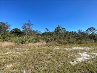 439 Hallmark Ave, Lake Placid, FL 33852