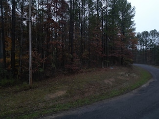 0 County Road 3965, Arley, AL 35541