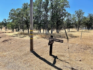 0 Ruby King Rd, Stonyford, CA 95979