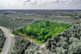 0 Walkerville Rd, Patterson, GA 31557