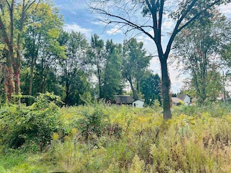 0 Shady Shore Rd, Bangor Charter Township, MI 48706