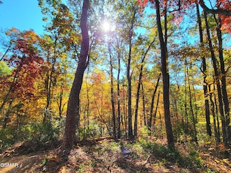 Lot # 54 Riversong Ridge Way, Sevierville, TN 37876