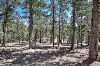 860 Spring Valley Dr Unit 13, Divide, CO 80814