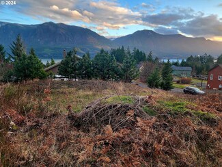 0 Frances Ln Unit Lot23 24131620, Carson, WA 98610