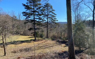 4.97 Brawley Ln, Suches, GA 30572