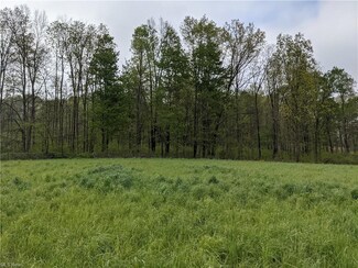 0 Township Road 11 Unit 4277724, Fresno, OH 43824
