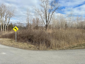 0000 Farwell St, Chesterfield Township, MI 48047
