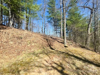Lot 3 on Saturn Way Unit 3, Bryson City, NC 28781