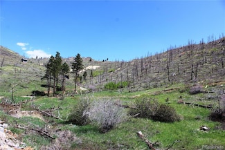 89 County Rd Unit 237, Louisville, CO 80027