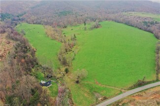 12617 Traphill Rd, Traphill, NC 28685