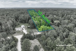 3162 S Alamando Rd, St. Louis, MI 48880