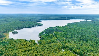 TBD E Hagerman Lake Rd, Iron River, MI 49935