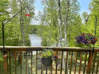 1605 Marion Hills Dr, Charlevoix, MI 49720