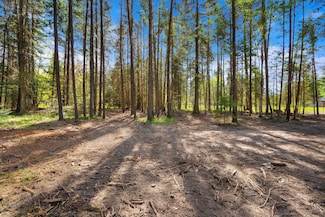 1365 Mount Highway 209, Bigfork, MT 59911