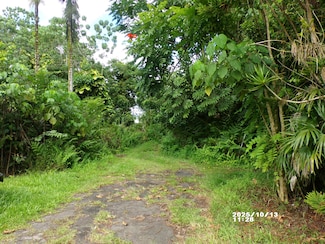 0 Kekauonohe St Unit 725039, Pahoa, HI 96778