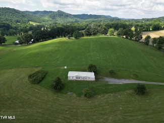 31196 Old Saltworks Rd, Meadowview, VA 24361