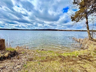 17653 Upper Spunk Lake Rd, Avon, MN 56310