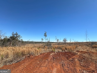 0 Faulkner Rd Unit LOT 8 10469544, Monticello, GA 31064