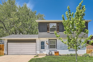 10541 Routt St, Westminster, CO 80021