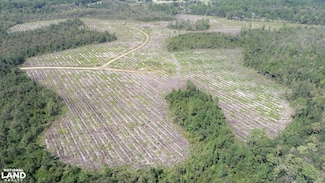 0 County Line Rd Unit 18961791, Hinesville, GA 31313