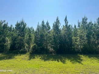 0 SE Nadine Stone Landing Rd, Kinard, FL 32449