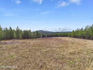 20 Acres S Hwy 3, St. Maries, ID 83861