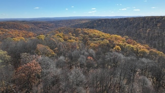 0 Earl Ansell Rd, Rockwood, PA 15557