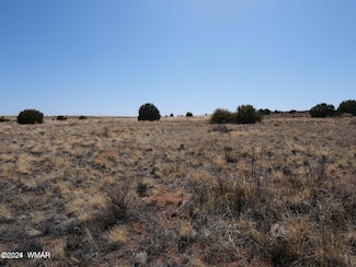 5447 Arizona 277, Snowflake, AZ 85937
