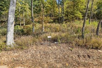 Lot 9 Peaceful Place, Harrison, AR 72601