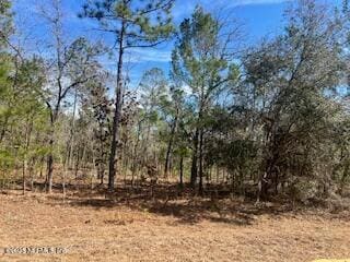 1891 Openwoods Rd, Middleburg, FL 32068